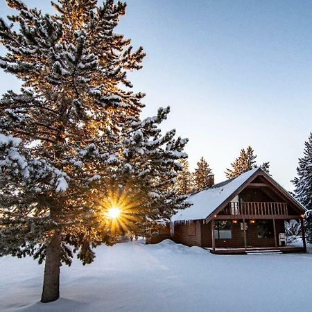 Yellowstone Cozy Caldera Cabin Island Park Extérieur photo