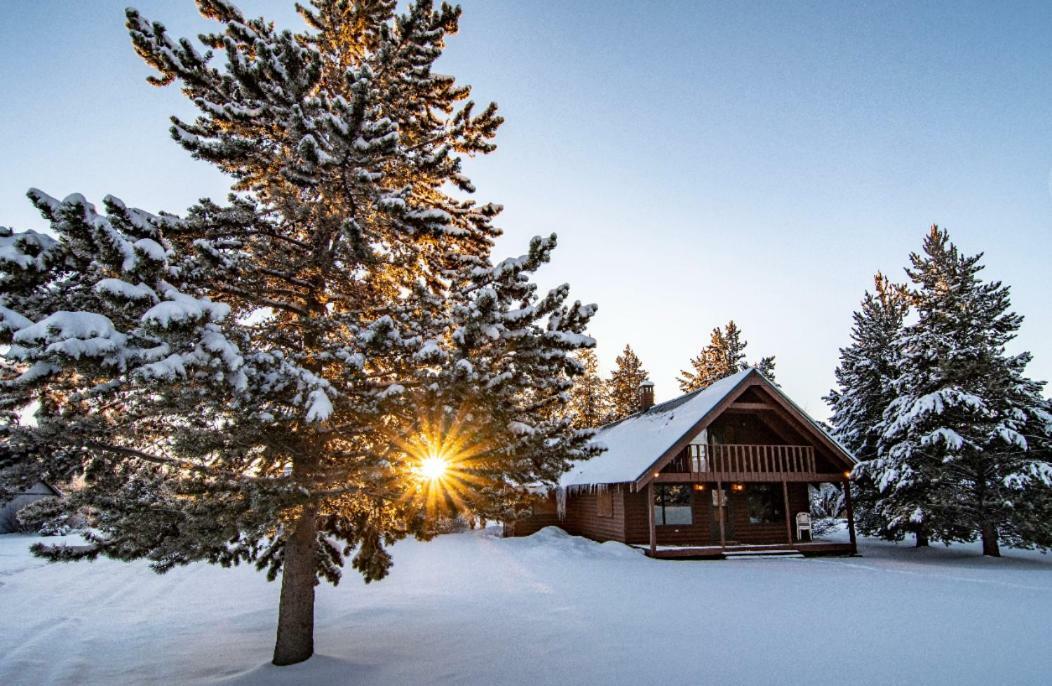 Yellowstone Cozy Caldera Cabin Island Park Extérieur photo